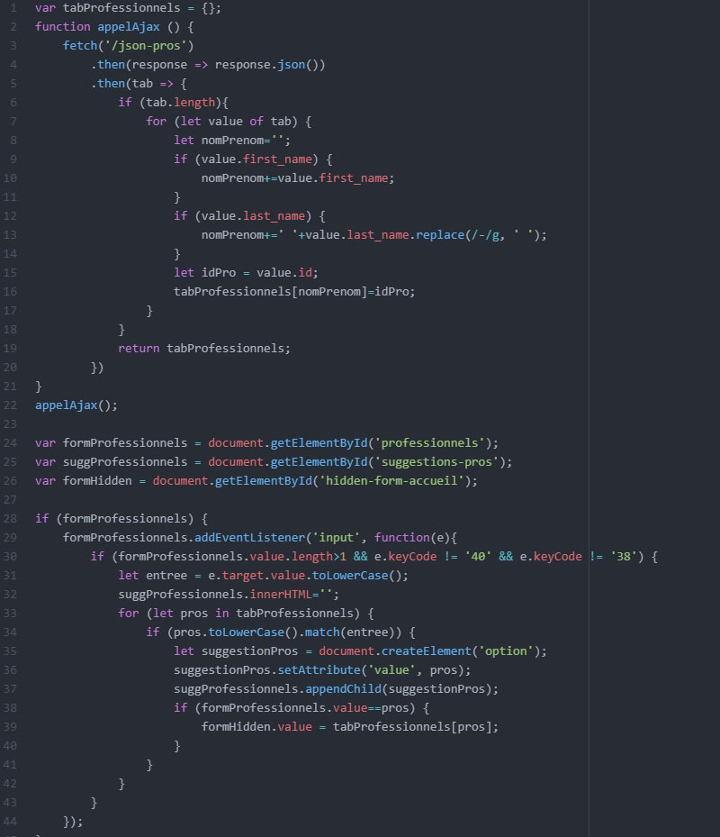 Code Javascript pour l'auto-complétion des professionnels